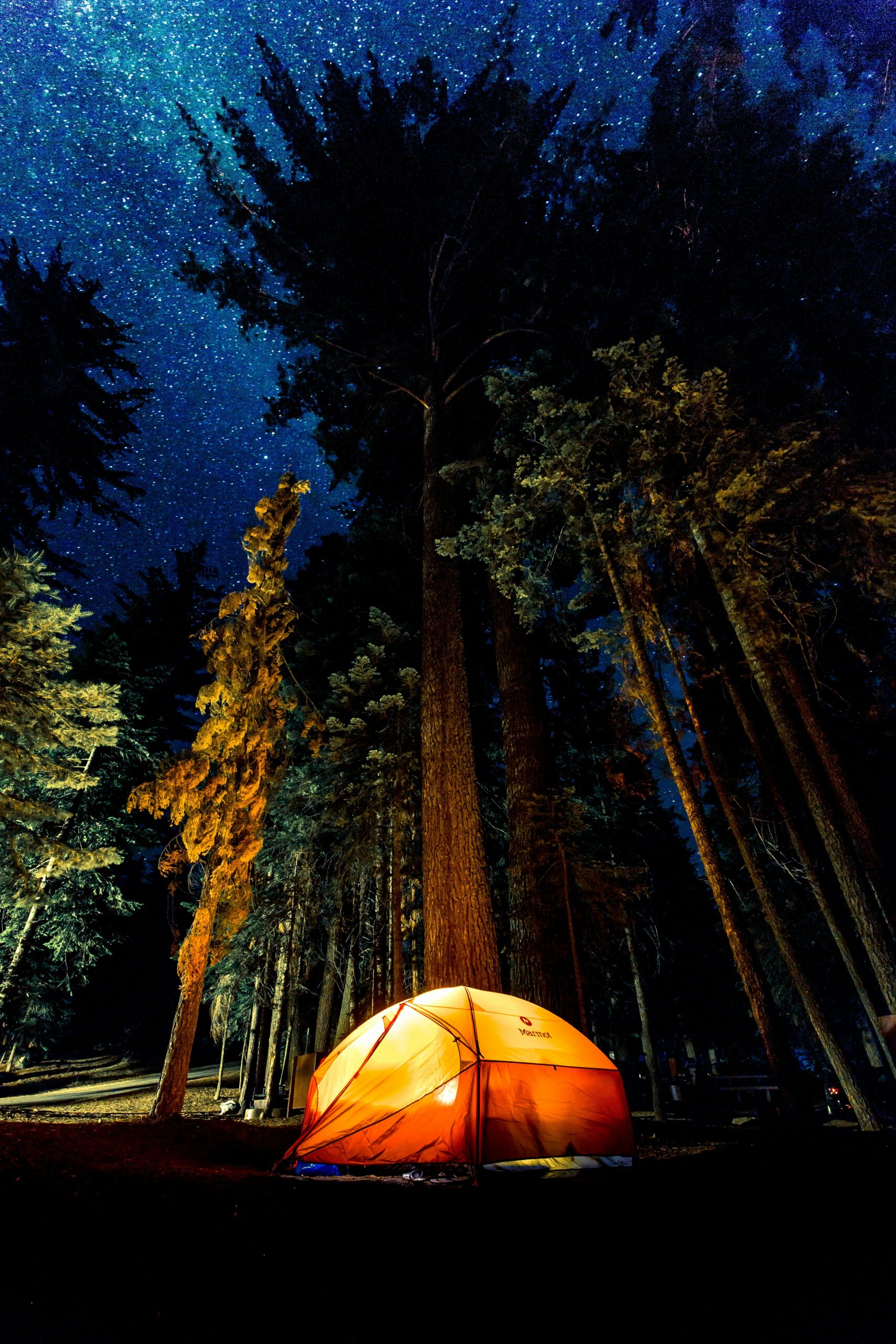 denys nevozhai 63Znf38gnXk unsplash scaled